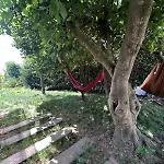 Trendy - Peregrinos Hostel Vila Cha (Porto)