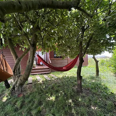 Trendy - Peregrinos *