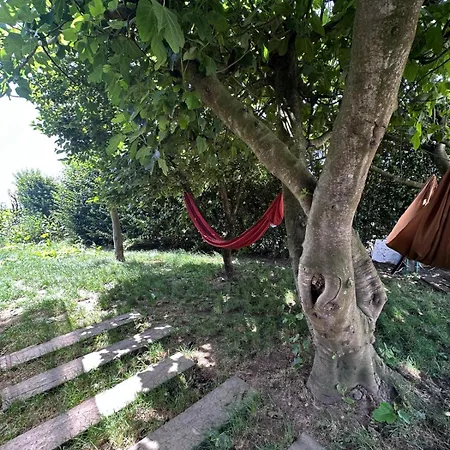 Trendy - Peregrinos Albergue Vila Cha (Porto)