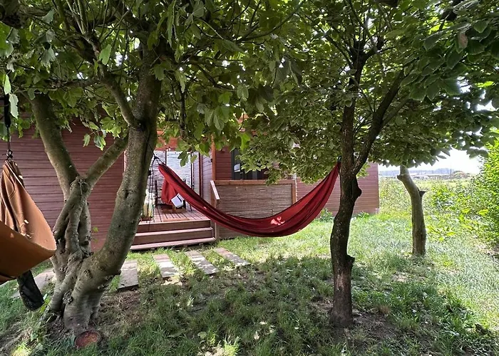 Trendy - Peregrinos *