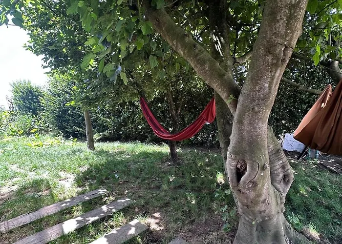 Trendy - Peregrinos Hostel Vila Cha (Porto)